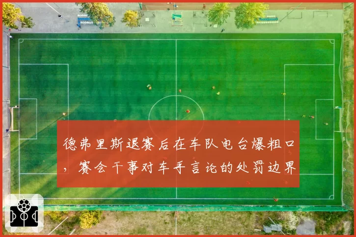 德弗里斯退赛后在车队电台爆粗口,赛会干事对车手言论的处罚边界在哪?