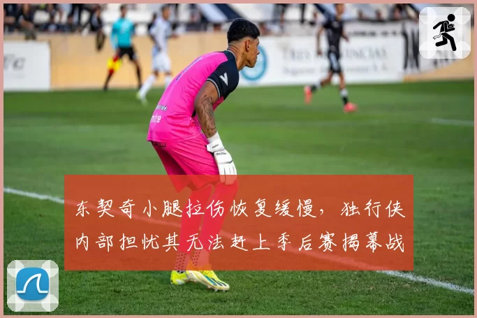 东契奇小腿拉伤恢复缓慢，独行侠内部担忧其无法赶上季后赛揭幕战