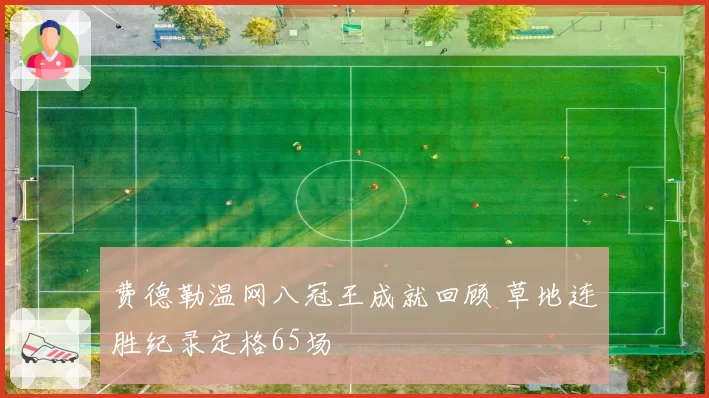 费德勒温网八冠王成就回顾 草地连胜纪录定格65场