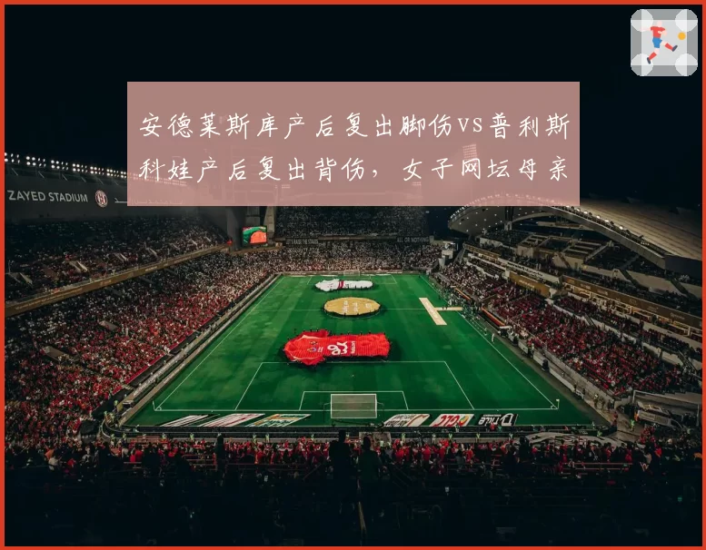 安德莱斯库产后复出脚伤vs普利斯科娃产后复出背伤，女子网坛母亲选手困境
